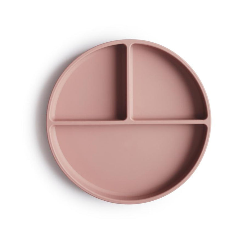 Silicone Plate