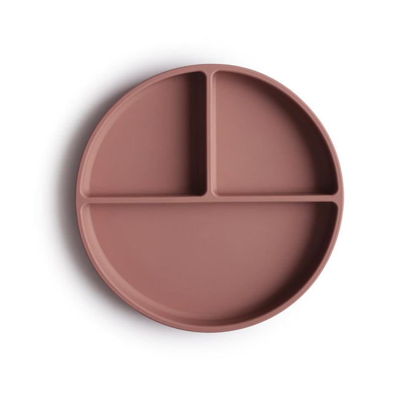 Silicone Plate