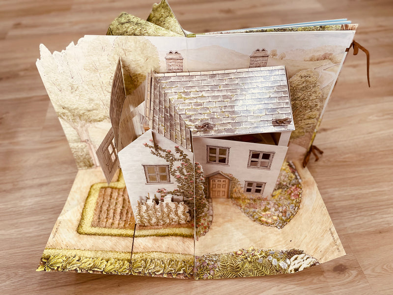 The World of Peter Rabbit Carousel Book | Children Book